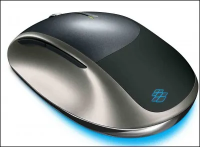 Quand tu travailles sur l'ordinateur, préfères-tu avoir un souris ?