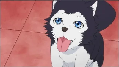 Quel âge Nigou a-t-il ?