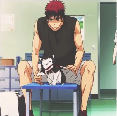 Qui déteste les chats ?