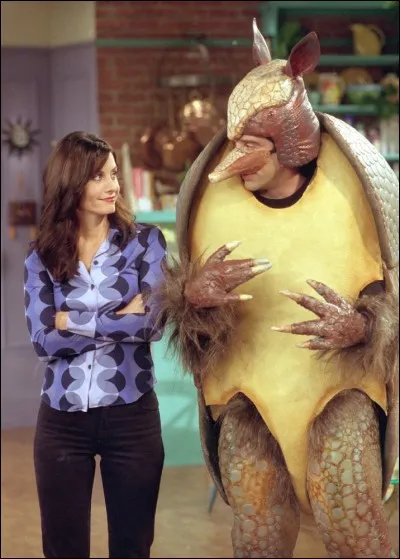 Il s'agit bien sûr d'un épisode de... Noël de la série Friends. Ross qui s'y est pris un peu tard, n'a trouvé que ce déguisement d'armadillo. En français, c'est quoi un armadillo ?