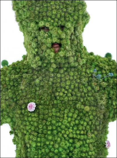 Cette photo de John Nicol, photographié par Henry Bourne, est intitulée The burry man (l'homme aux piquants ). On peut dire qu'il est presque déguisé en... ?