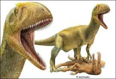 Quel est ce dinosaure carnivore ?