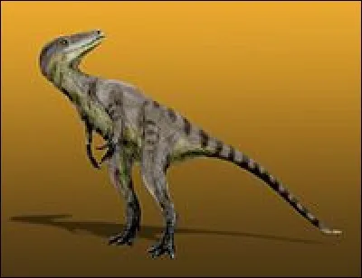 Quel est ce dinosaure carnivore ?