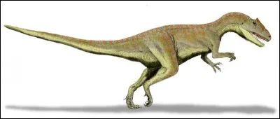 Quel est ce dinosaure carnivore ?