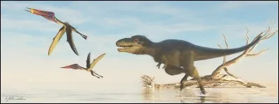 Quel est ce dinosaure carnivore ?