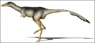 Quel est ce dinosaure carnivore ?