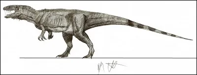 Quel est ce dinosaure carnivore ?