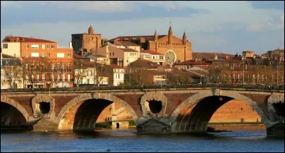 TOULOUSE - Lequel de ces fleuves traverse le chef-lieu de la région Occitanie ?