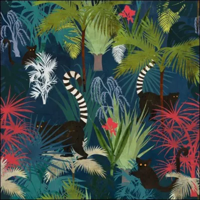 Quel est le lémurien qui a un pelage clair et une queue rayée noire et blanche ? (photo uniquement décorative)