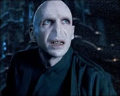 Je suis le méchant de la saga. Tous les sorciers me redoutent et n'osent pas prononcer mon nom. Mon nom si redouté est ...