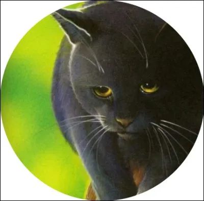 Quels ont été les deux amours interdits de Plume de Jais ?