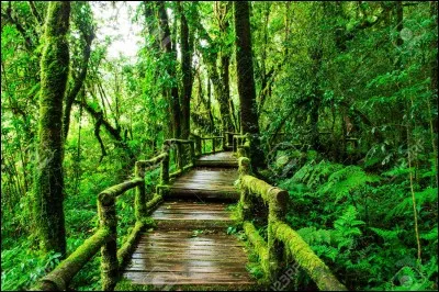 Conjuguez le verbe "Créer" à la deuxième personne du pluriel.