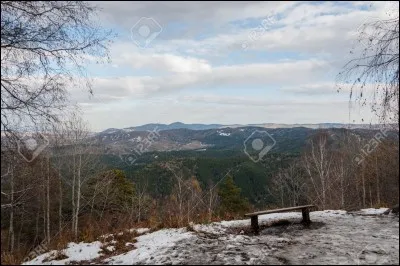 Conjuguez le verbe "Venir" à la troisième personne du pluriel.