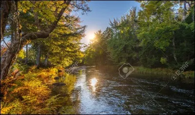 Conjuguez le verbe "Jeter" à la première personne du singulier.