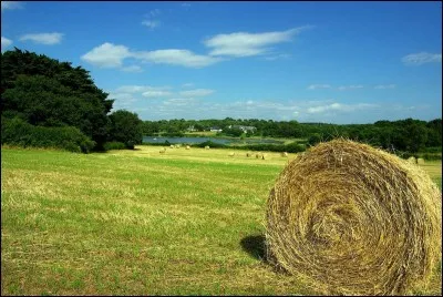 &Agrave; Bennecourt, Claude peint un tableau, lequel ?