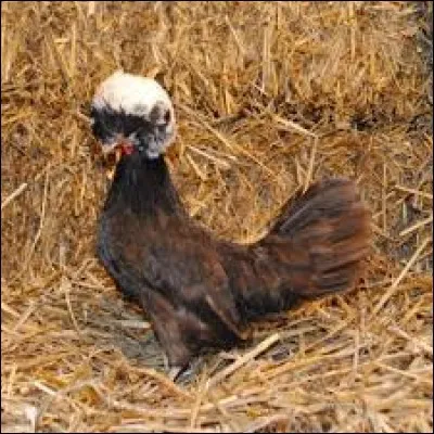 Dépouille quelqu'un de ce qu'il porte sur lui ou avec lui en utilisant la violence : dé...