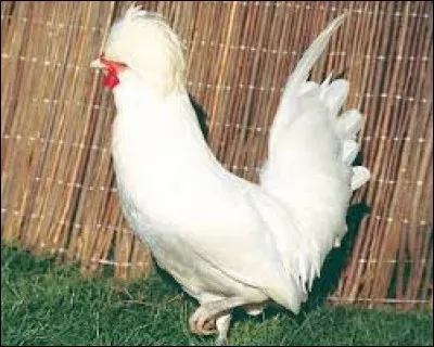 Se calmer, se reposer : dé...