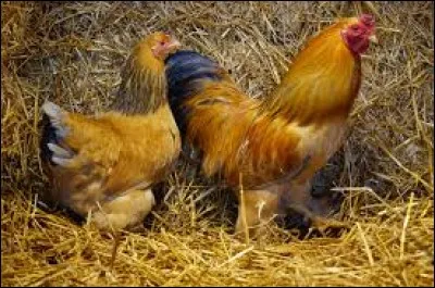 Détourner quelqu'un du droit chemin, l'entraîner dans l'erreur : dé...