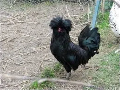 Qualifie une personne très attachée aux pratiques religieuses : dé...