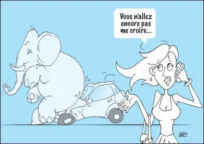 Perle des assurances : L'incendie a pris dans la cuisine, mais lorsque les pompiers sont arriv&eacute;s, ...