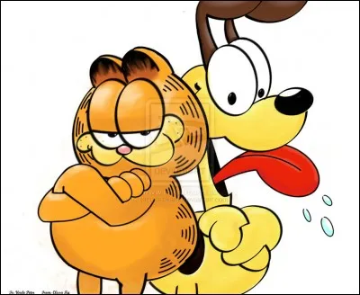 Comment s'appelle le chien de Jon, dans la bande dessinée "Garfield" ?