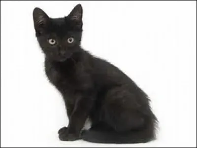 Il n'a pas toujours été dans un clan. Avant, il se prénommait...