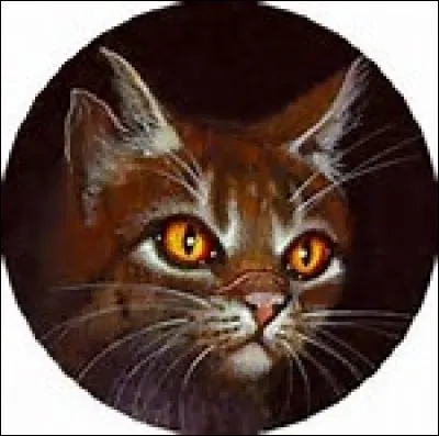 Il a tué un chat en public. Qui est-ce ?