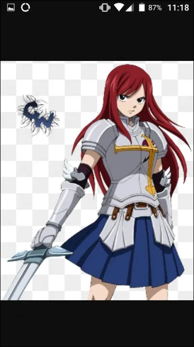 Comment s'appelle l'armure qu'Erza porte habituellement ?