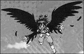 Combien de + anima oiseaux y-a-t-il  la course + Anima ?