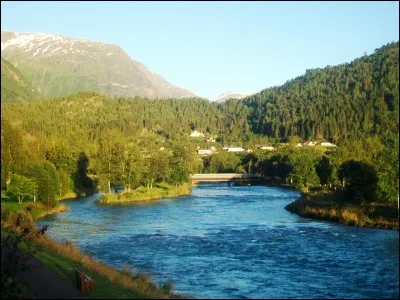 Que désigne la "Cage aux Folles" dans le film du même nom ?