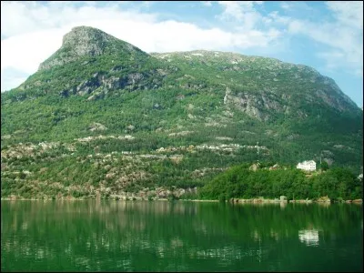 Pourquoi le fou de Bassan, oiseau marin, fut-il baptisé ainsi ?