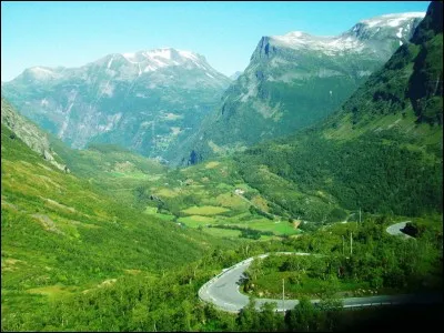 Sur un échiquier, comment le fou se déplace-t-il ?
