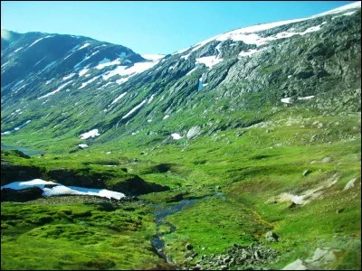 À quel chanteur doit-on le titre "Requiem pour un fou" ?