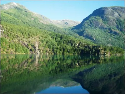 Complétez cette expression populaire : "plus on est de fous, plus...".