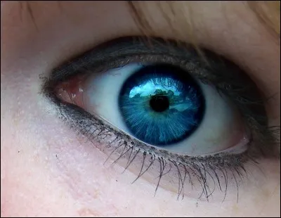 De quelle couleur sont vos yeux ?