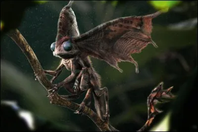 Mes semblables et moi squattions le salon du 12 square Grimmaurd avant d'être chassés par Molly Weasley. Je suis...