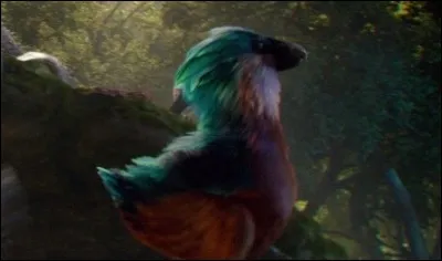 Les Moldus le connaissent sous le nom de "dodo" et le pensent disparu alors qu'il s'agit en fait d'une espèce fantastique capable de se téléporter. C'est...