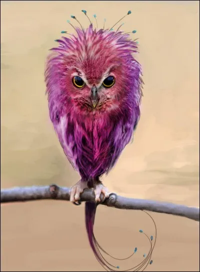 Le chant de ce petit tas de plumes trop mignon est capable de rendre fou celui qui l'écoute trop longtemps. C'est...