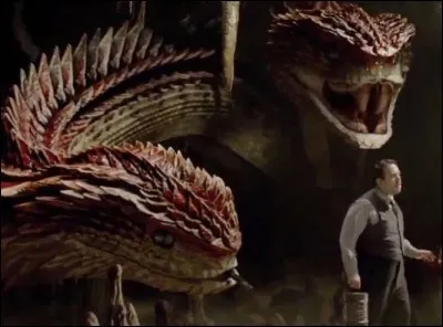 On termine avec le plus difficile. On peut voir cet animal dans les scènes coupées des "Animaux fantastiques". C'est...