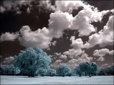 Quel nom portent ces nuages de beau temps, imposants et blancs ?