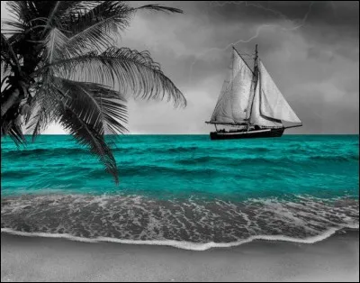 Qui chantait "Fais comme si j'avais pris la mer, j'ai sorti la grand voile...." ?