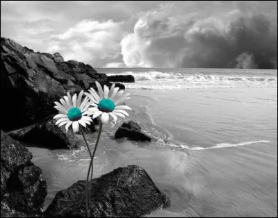 Qui chantait "La mer qu'on voit danser, le long des golfes clairs" ?