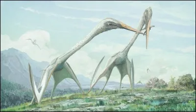 Est-ce que ce reptile a pu exister ?