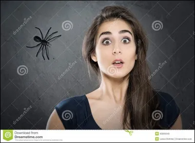 Comment s'appelle la phobie des araignées ?