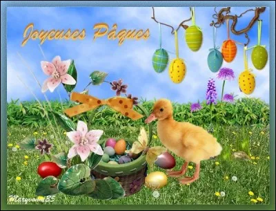 Qu'est-ce qui est accroché aux branches ?