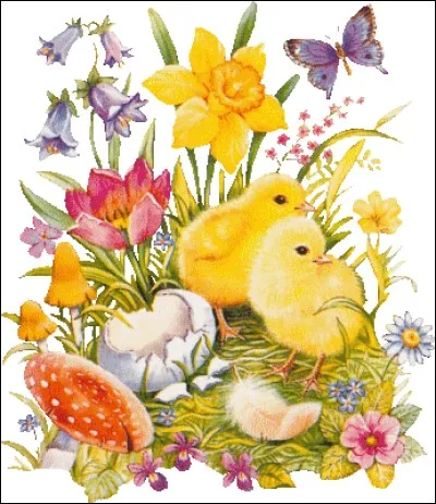 Que vois-tu en haut, à droite de l'image ?