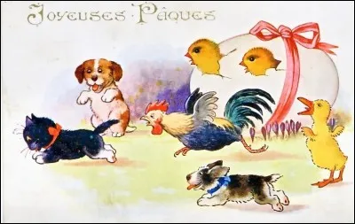 Deux poussins vont sortir de l'uf. Qui les protège ?