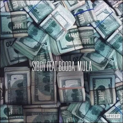 Siboy (ft Booba) - Mula "Il n'aiment pas le mafé, ils n'aiment pas la burqa fier de mes origines comme ..."