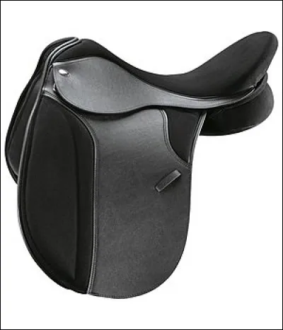 Comment s'appelle cette selle ?