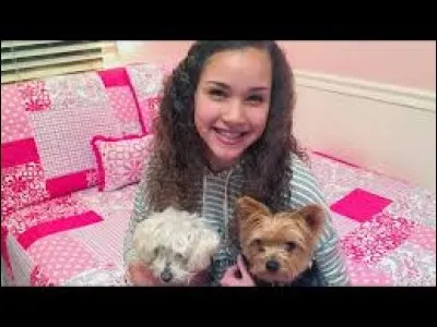 Combien de chiens ont les Haschak Sisters ?